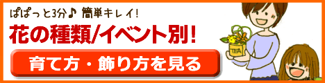 �Ԃ̎�ށE�C�x���g�ʈ�ĕ��E�����